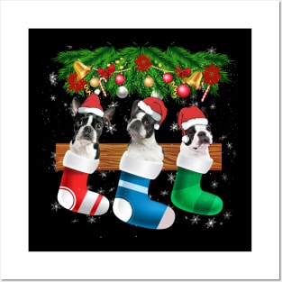 Three Boston Terrier In Sock Christmas Santa Hat X mas Dog Posters and Art